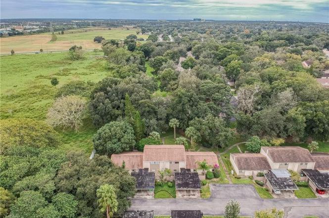 Cozy 3 Bed 2.5 Bath Located Near Busch Gardens Tampa Exterior foto